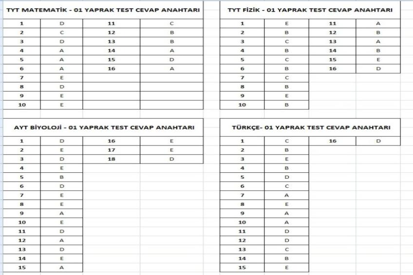 11- 12.Sınıf Tarama Cevap Anahtarları